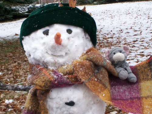 Kitty meets Snowman